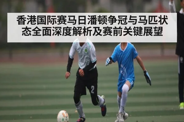 香港国际赛马日潘顿争冠与马匹状态全面深度解析及赛前关键展望